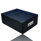 B22 'Black Silver'